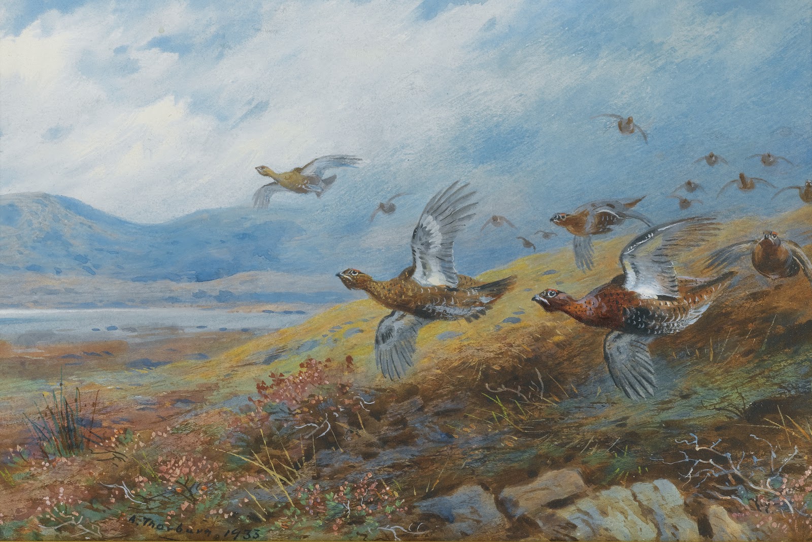 Archibald Thorburn птицы осень